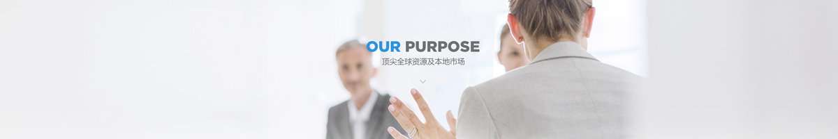 公司简介